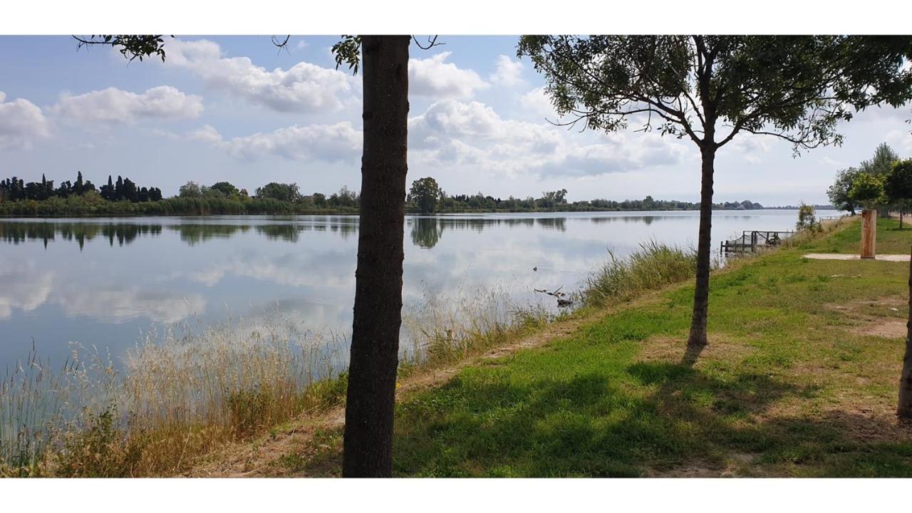 Apartament Joiebre Sant Jaume d'Enveja Zewnętrze zdjęcie